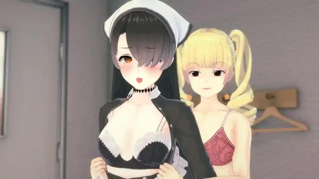 特殊后宫类 (29)